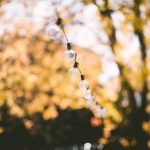 Les règles d'or pour la déco de votre jardin en été astuces décoration jardin été